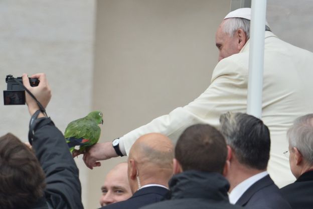 Papa, sulla jeep c'&egrave; un pappagallo verde