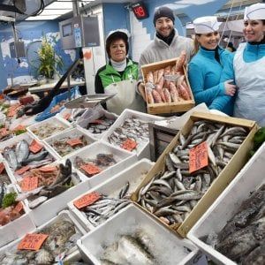 Dai Maggio pesce fresco e piatti pronti