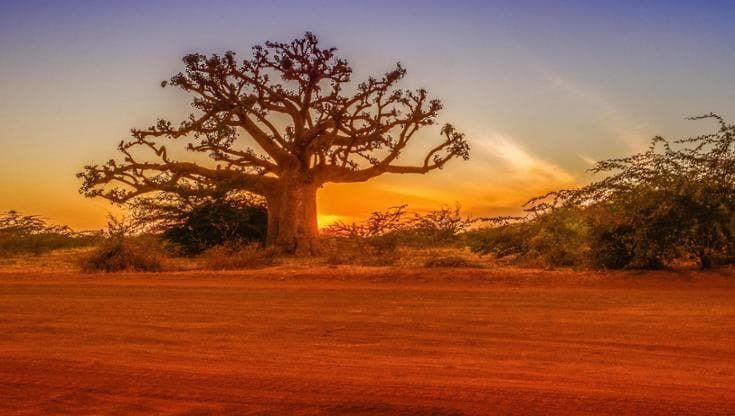 Senegal, l’Africa tra oceano e savana