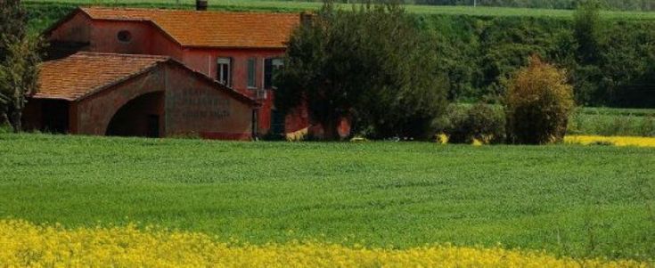 Castel di Guido, così Comune di Roma e Regione Lazio uccidono l'oasi gioiello