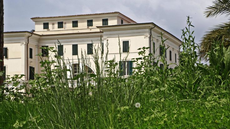 Roma, la triste primavera dei parchi dove i prati diventano giungla 