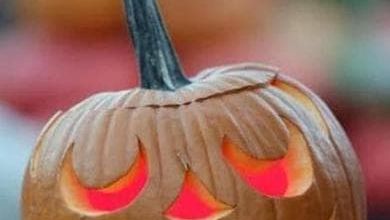 Case infestate, misteri sepolti e atmosfere gotiche: ecco i libri per l'Halloween dei piccoli