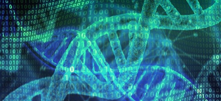 Oncologia di precisione, un super-hub virtuale per studiare il Dna dei tumori