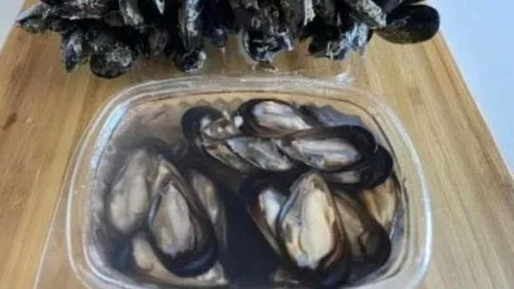 La guerra delle cozze spacca Taranto: “No all’importazione del seme dalla Grecia voluta dal Comune”
