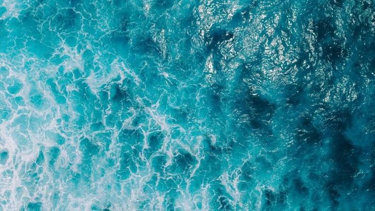 Oceani, l'Italia aderisce all'Alleanza G7 per la gestione delle aree marine protette
