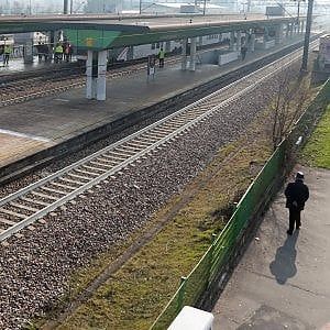 Treno investe cavallo, ritardi sulla linea Milano-Tortona