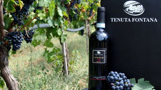 I signori del vino. L’aglianico e tre ragazzi nella storia di “Civico 28” 
