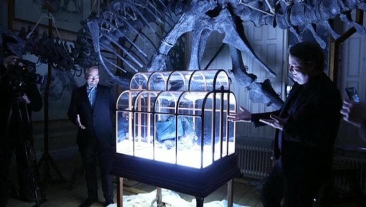 Una borsa di dinosauro: le nuove frontiere della pelle coltivata in laboratorio