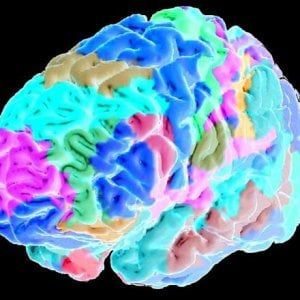 Smog nel cervello, "Così l’inquinamento contamina i neuroni"