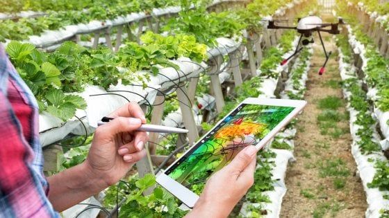 Nasce il corso di laurea per diventare ingegnere dell'Agricoltura