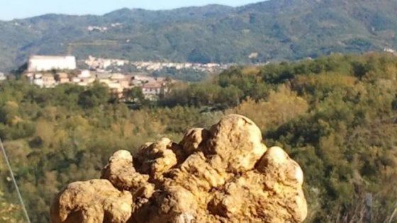 A Ceppaloni "Tartufo al Borgo”