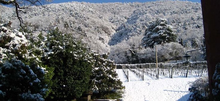 Nino Franco: un secolo di storia in terra di Prosecco 