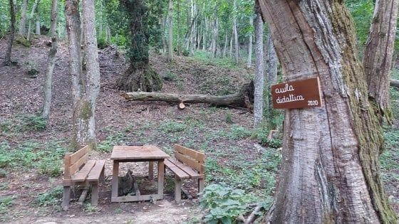 A lezione tra gli alberi. In Appennino a Bologna spunta l'aula nel bosco 