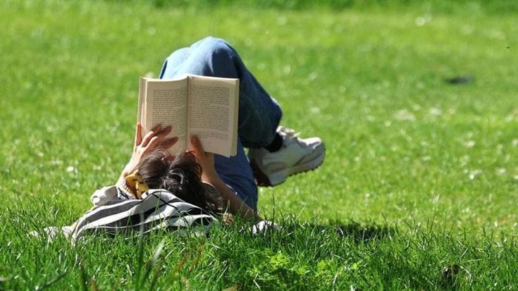 Sotto il libro