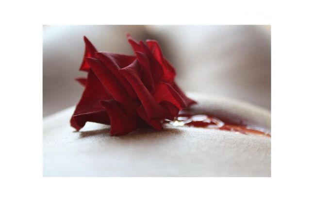 Violenza sulle donne, mostra della parmigiana Orzi alla Camera