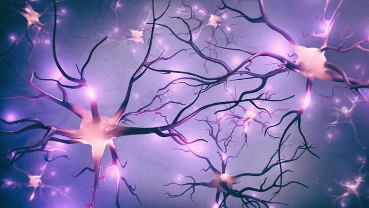 Computer quantistici: scoperto come trasformare il rumore in risorsa, “copiando” i neuroni