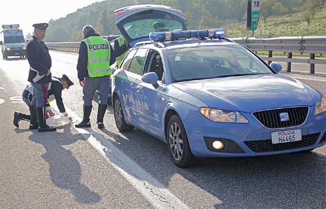 Pirateria stradale, &egrave; di nuovo emergenza