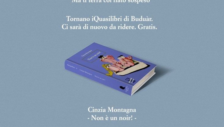 Un secondo racconto per la collana virtuale iQuasilibri: “Non è un noir!” di Cinzia Montagna