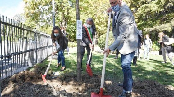Piantato a Bobbio il primo dei 4,5 milioni di alberi promessi dall'Emilia-Romagna