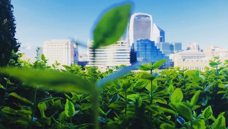Le Fintech al servizio dell’ambiente