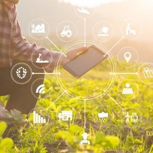 Agro-alimentare: "Il futuro del comparto (e degli investimenti) è sostenibile"