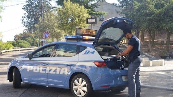 Catania: pitbull azzanna bimbo di 20 mesi
