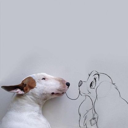 <span lang="it"><span>Le avventure di Jimmy Choo, il cane perso nel mondo illustrato<br /></span></span>