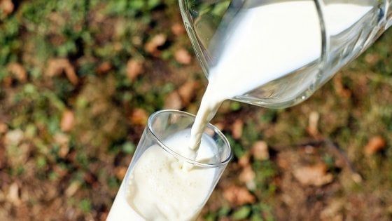 Il latte piace agli italiani, ma uno su quattro lo beve senza lattosio