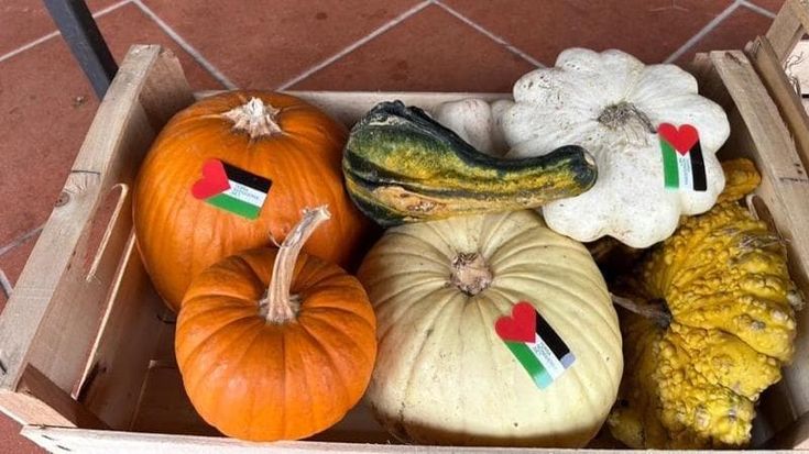 La bandiera palestinese su ortaggi, miele e vini: “Noi, agricoltori per Gaza”