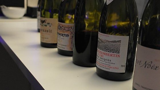 Pinot Noix della Mosella contro Pinot Noir della Borgogna: i magnifici nove