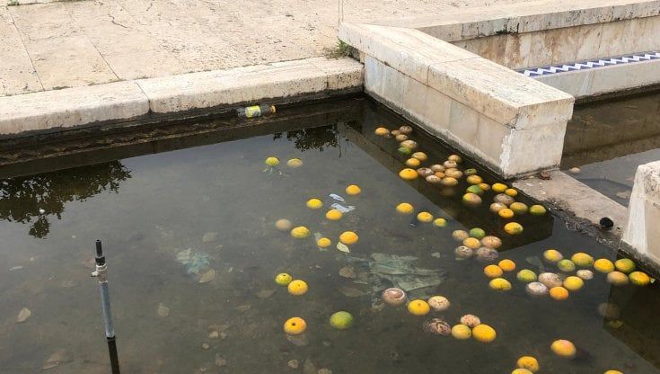 Rifiuti, fontane spente e acqua putrida: ecco il giardino della Zisa patrimonio dell'Unesco