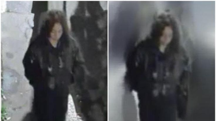 Donna morta nel cortile di via Paruta, i carabinieri diffondono la foto: “Chi la conosce ci chiami”