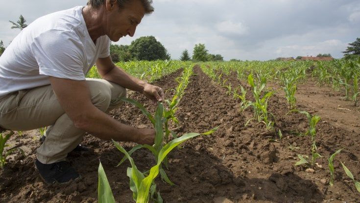 Criteri Esg integrati, così Dnv promuove la sostenibilità nella filiera agroalimentare