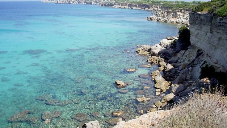 Pianosa, il parco aumenta il numero dei visitatori, l'ira degli ambientalisti: "Rovinate l'isola"