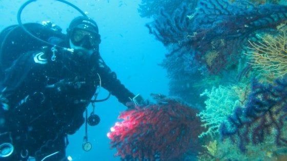La stazione Dohrn di Napoli apre un hub nazionale della ricerca marina 