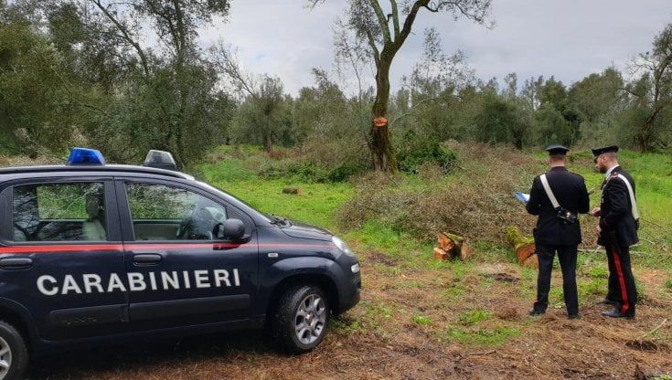 Delitto di Formello, l'ombra del traffico di armi con l'Iran nel passato della vittima