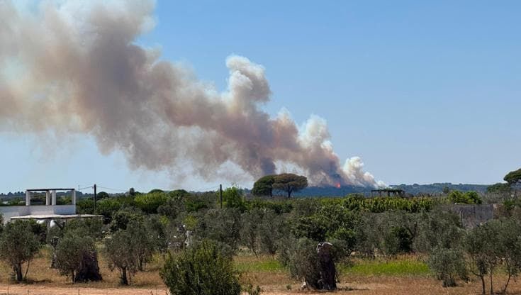 Incendio sulla collina di Ruffano, sfregio all’ambiente. Il sindaco: “Grave ritardo del Canadair”