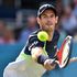 Tennis, Murray: ritorno in campo con sconfitta. Federer ok ad Halle