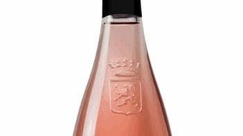 Un grande enologo che lavora 35 variabili di rosé