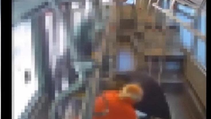 La rissa sul bus in tre minuti: “Cerchiamo il passeggero”. Tper avvia indagine interna