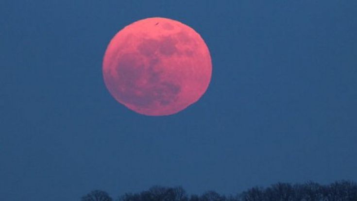 Luna rosa sul golfo<br />la notte delle fragole