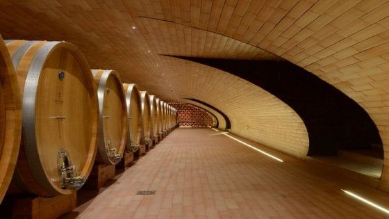 Archistar, castelli e abbazie: quando la cantina è un'opera d'arte