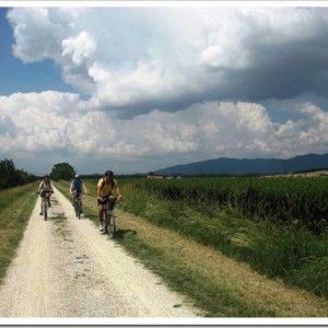 Sul Canale Cavour una pista ciclabile da Milano a Torino