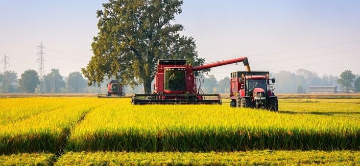 Robot per la mungitura, software per l'irrigazione: ecco il mondo dell'agricoltura 4.0