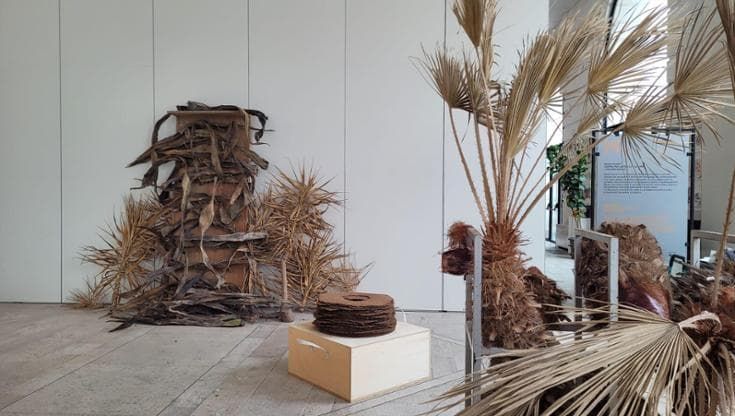 Un giardino d’artista allo Spazio Murat a Bari: è il ritorno in Puglia di Michele Guido