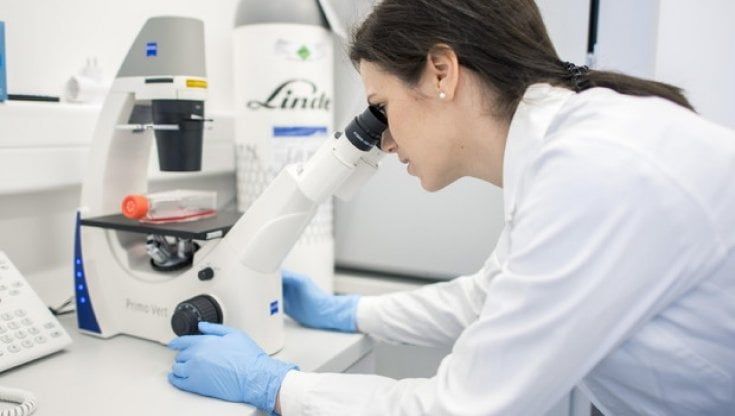 Coronavirus, l'identikit delle varianti: la giapponese dopo l'inglese e la brasiliana