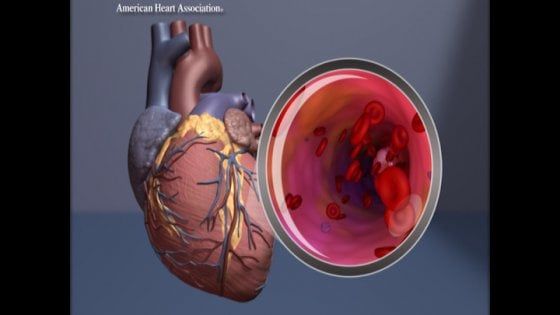 Cuore, rene e metabolismo: una ‘famiglia’ di malattie da trattare insieme 