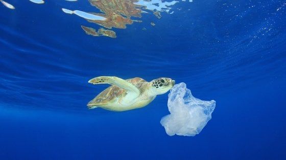 Usa, boom movimento anti-plastica: basta Barbie e Lego