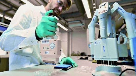 Coronavirus: dall'Olanda il farmaco per neutralizzarlo