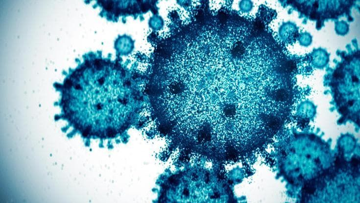 Influenza, ecco come il virus “ricabla” le cellule umane